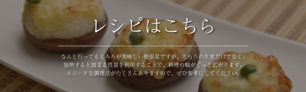 根張星 ネバリスター レシピ