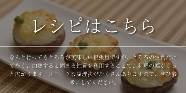 根張星 ネバリスター レシピ